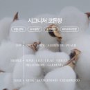 블루세탁 - 제주시 진군3길 15-3 | 블루세탁