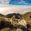 비타민동물병원 이미지