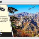 대행목장 1 이미지