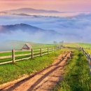 행복을다리는집 이미지