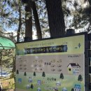 남열해돋이해수욕장 | 고흥 남열 해수욕장 찍먹 후기 해돋이 몽골텐트 대여 서핑 명소🌊🏄