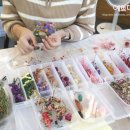 [12/20] 프리저브드 플라워 미니센터피스 - 원데이 클래스 | 드라이플라워 미니화분 석고방향제만들기 원데이클래스 1인 후기 경성대 부경대 부산공방예쁘다