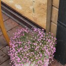 소현고택 이미지