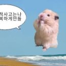 7주차 인턴 후기_스나이퍼팩토리 AI 콘텐츠마케팅 인턴형 프로그램