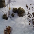 홍천농장 이미지