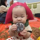 대구키즈카페 위니키즈 / 7개월 아기 방문후기!