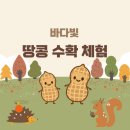 바다빛어린이집 이미지