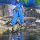 갈비박사밀면박사 | 부산 :: 부산가서 살 안 찌면 이상한 사람