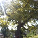 정다운마을 이미지