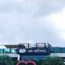 미소바이크 | 🚴‍♀️ 제주 레일바이크 후기 | 자동이라 너무 편한 가족·단체여행 체험 코스 🌾