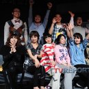 옥탑방 고양이 이미지