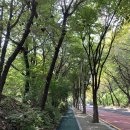 도구머리공원1-1 이미지