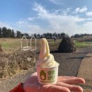 조은2목장 이미지