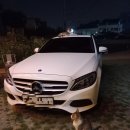 커피에 빠진 캣츠 이미지