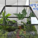 예쁠란따 가드닝