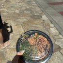 2441 | 하와이 와이키키 포케 맛집 마구로스팟 솔직후기