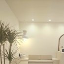 일랑일랑 스테이 이미지