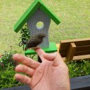 아기새어린이집 이미지