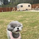 빌라반우 이미지