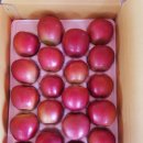 욱이네 농장 이미지