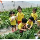 효동농장 이미지