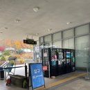 신구대학교 | 성남 단풍구경 신구대학교 식물원 단풍, 입장료 후기