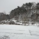 풍천사슴농장 이미지