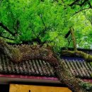 성안건설(주) | 항주(杭州)의 역사