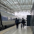 사료 "윌로펫" 제품 홍보 및 상품 론칭 확인차 진주, 마산, 진영, 대구 Pet 매장 <b>장</b><b>강고</b>에 출장 다녀왔어요