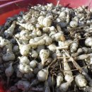 가남정보화마을 이미지