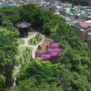 배수지 공원주변 이미지