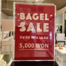 위클리카페 | 동탄 베이글카페 쫄깃함이 남다른 위클리베이글 블루베리베이글 크림치즈 브런치 세트 후기