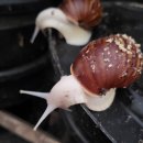 오금농장 이미지