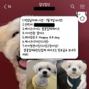 럽잇.럽잇 이미지