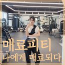 매료피티 네이버블로그