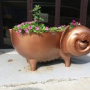 선규농장 이미지