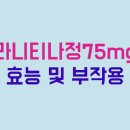 티나정