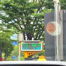 주식회사 미디어클릭 | 부산전시회 뮤지엄원 다시낭만의시대｜할인 여행특공대 티켓 예매 후기