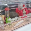 광원수족관 이미지