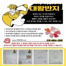 조루땡
