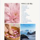 홀딱상점 | 발리 아야나 리조트 스파 마사지 30분 무료 체험 후기 예약 가격 총정리