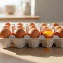 자연식탁 | 난각번호1번 유정란 효능·특징·보관법 총정리｜무항생제 자연방사 계란 20구 후기