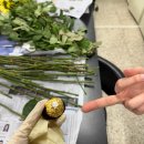 개등드리# | 잠시만 실험실 5층이야!!!