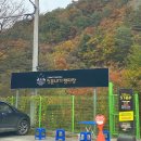 첫물내기캠핑장 이미지