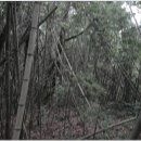 마산초장 이미지