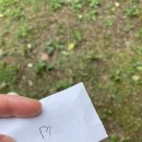 들뫼약산흑염소전문점 | 여름맞이 보양식ㅣ들뫼약산흑염소전문점