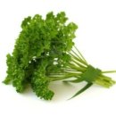 파슬리 이미지