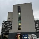 포유 | 제주 | 아기 이유식, 마미포유 후기 이유식 (내돈내산)