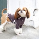 코코아도그 이미지