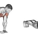 프레스짐(Press GYM) 이미지